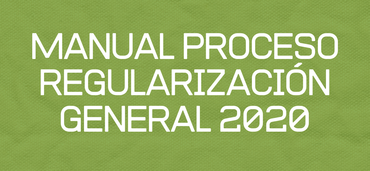 MANUAL PROCESO REGULARIZACIÓN GENERAL 2020